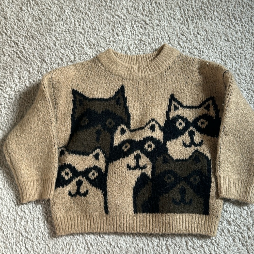 Zara brown sweater 9-12 mo NWT baby boy girl